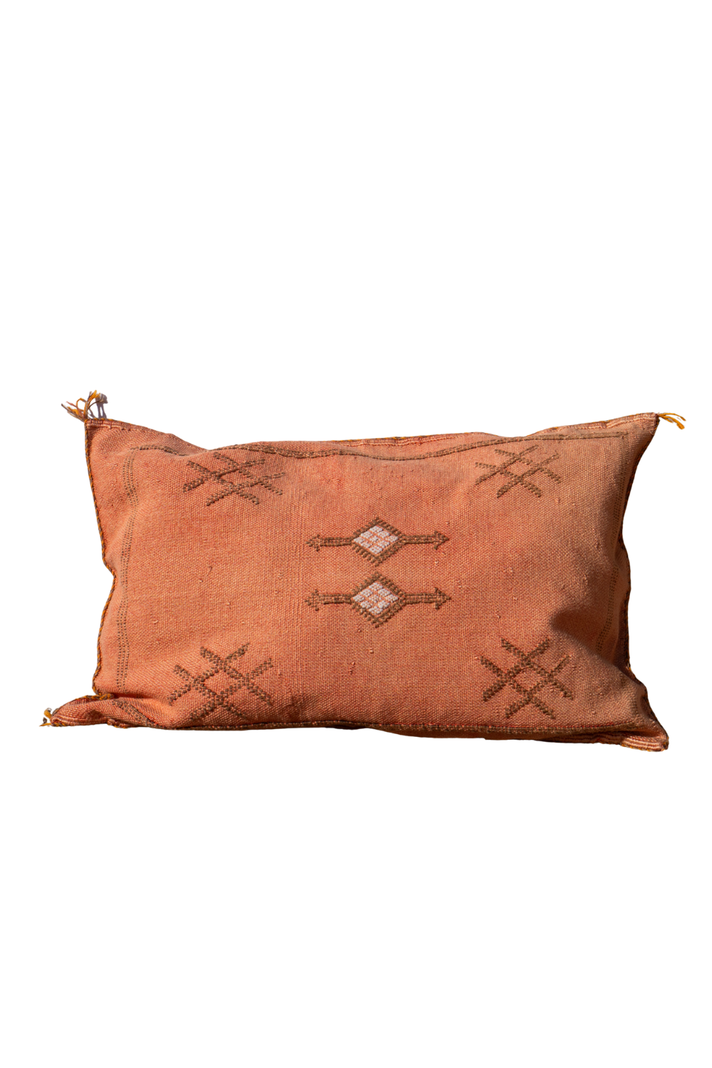 MOROCCAN CACTUS PILLOW | TERRACOTTA